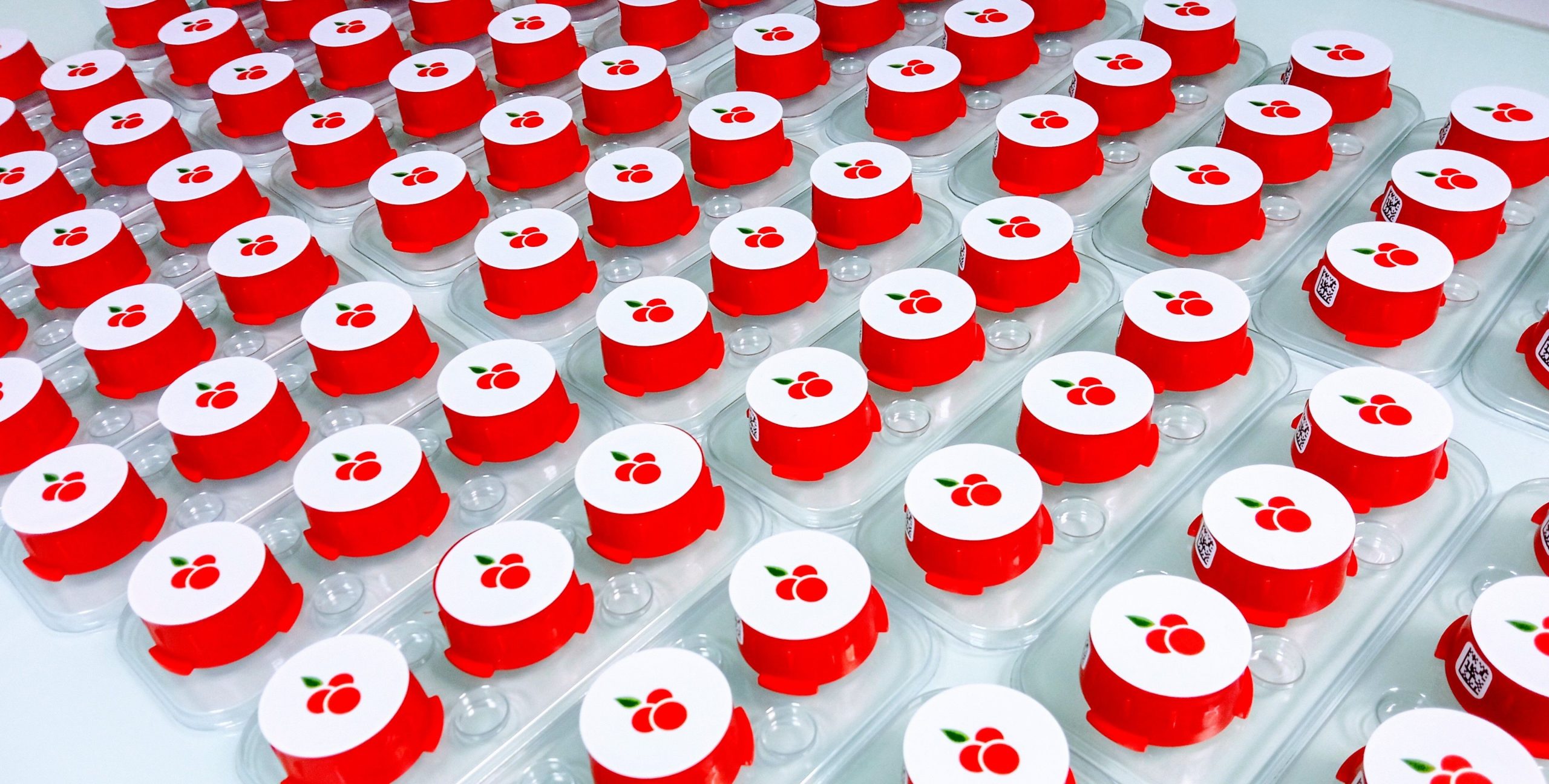Signature d’un prêt participatif avec la start-up Redberry