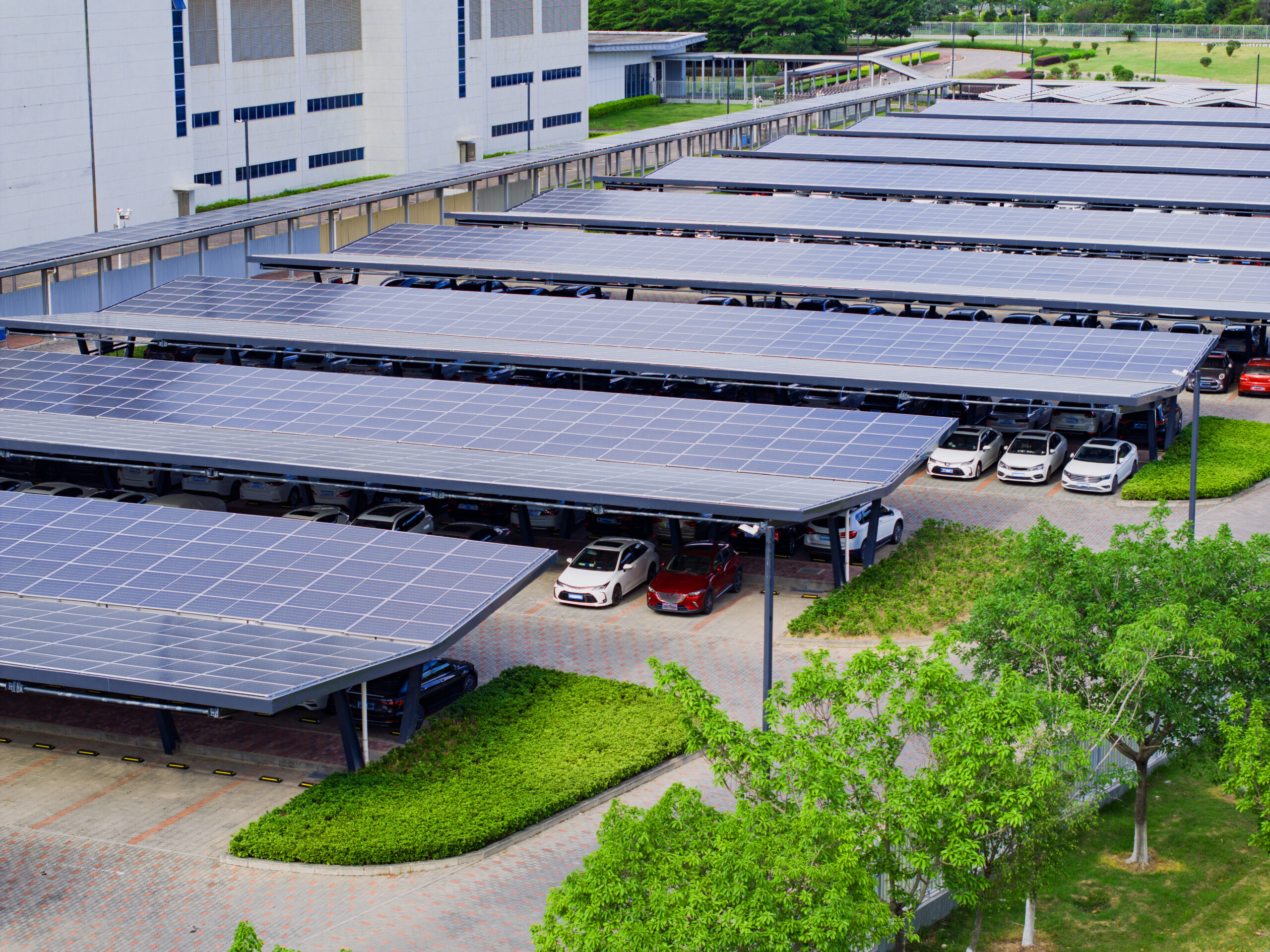 Décarboner son entreprise : par où commencer ?